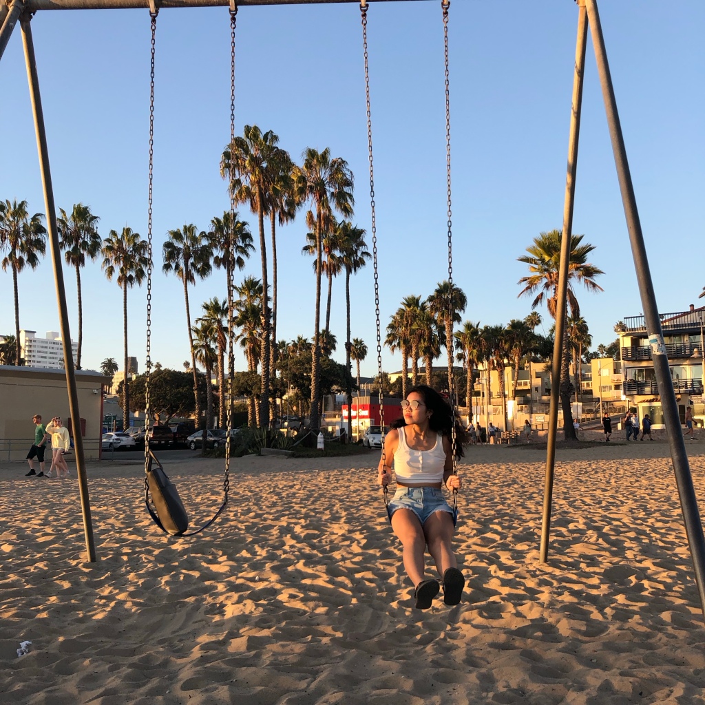 Santa Monica Swing